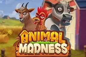 Animal Madness